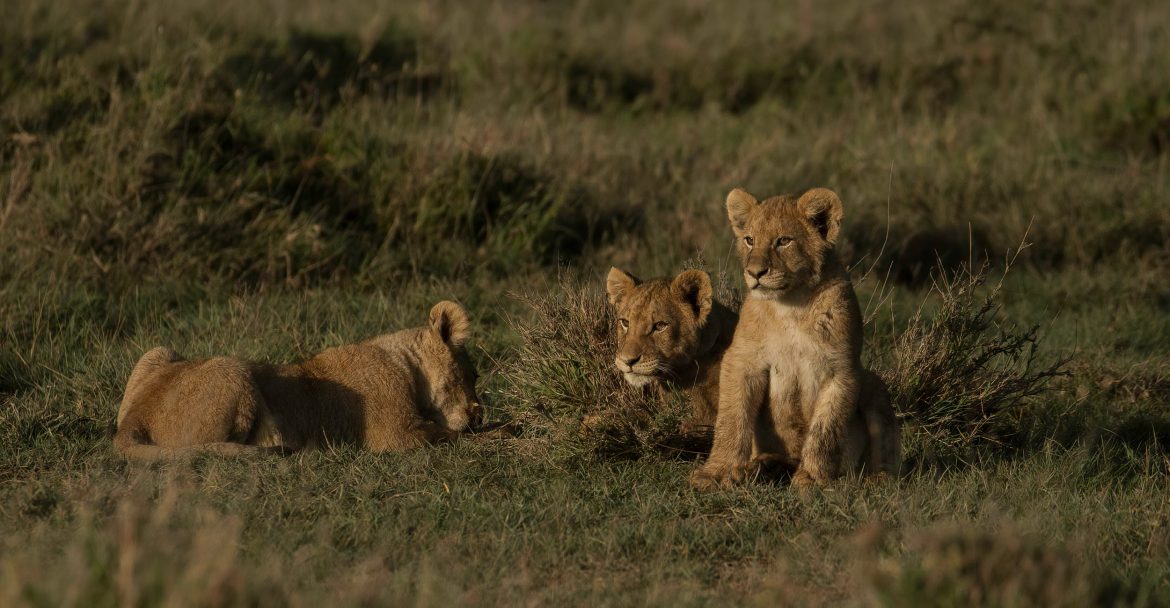 Serengeti National Park