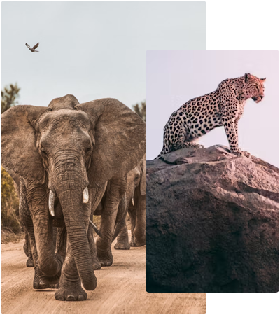 Unforgettable Tanzania trips