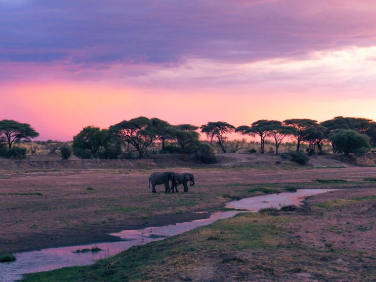 9 days – Tanzania Deluxe Safari