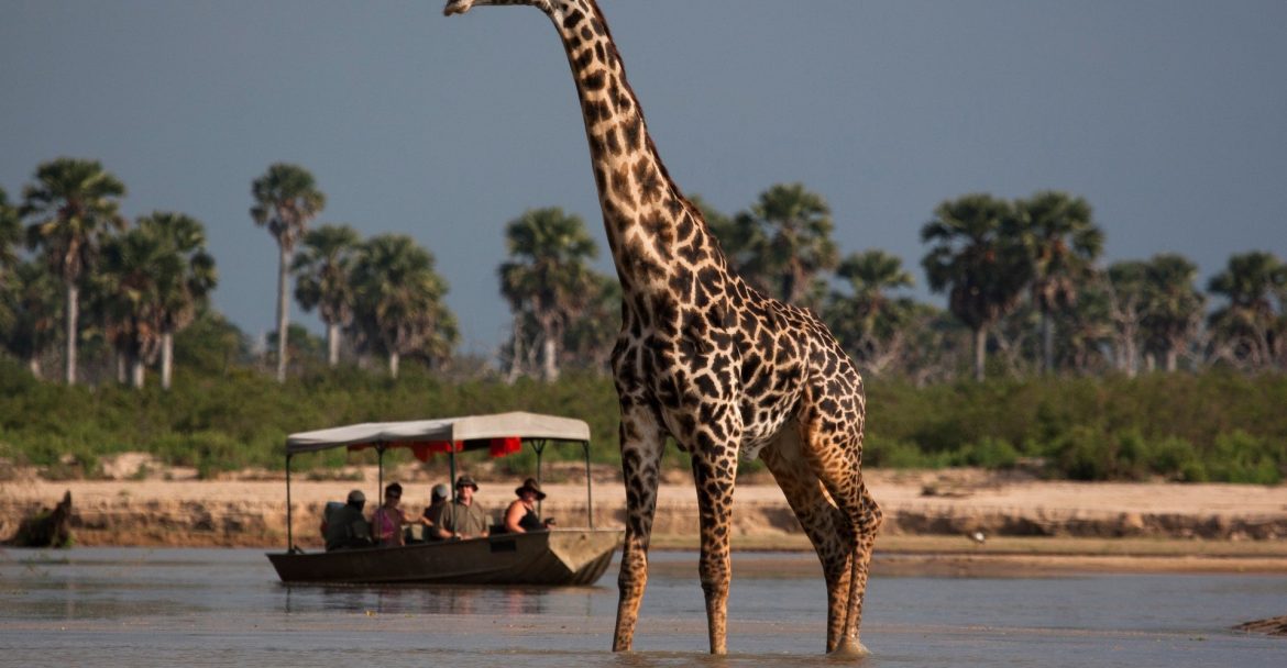 8 days – Sky Safari Tanzania Classic