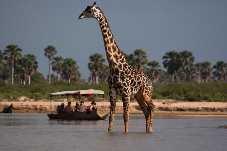8 days – Sky Safari Tanzania Classic