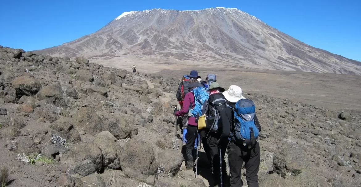 8-Day Kilimanjaro and Tanzania Safari
