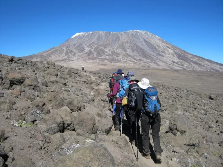 8-Day Kilimanjaro and Tanzania Safari
