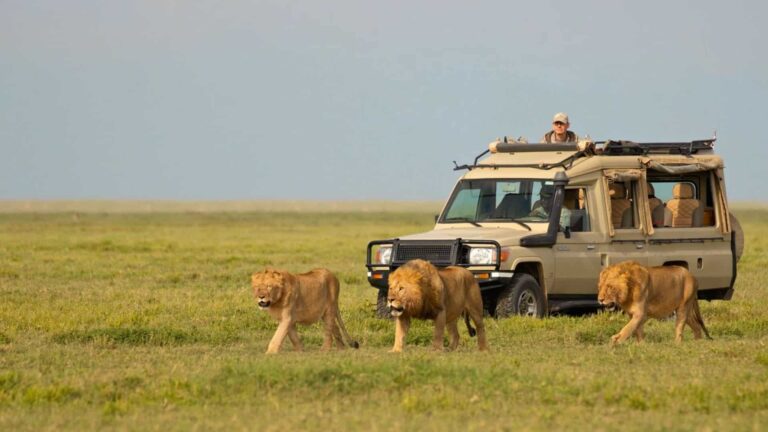 5-days-short-tanzania-luxury-honeymoon-safari-tour