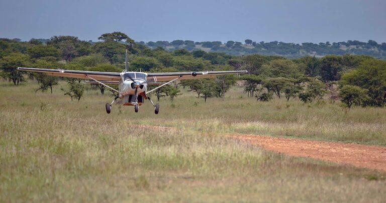 2-Day Serengeti Fly-in Safari from Zanzibar