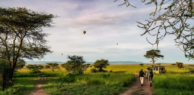 6-Day Tanzania Northern Circuit Safari